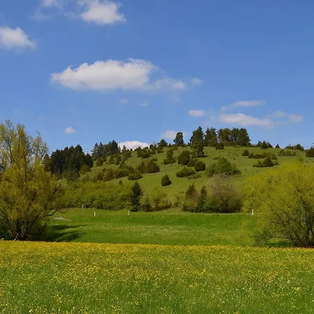Daire Casa Wiesenblick Nuertingen
