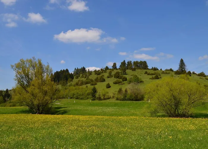 Апартаменты Casa Wiesenblick Нюртинген