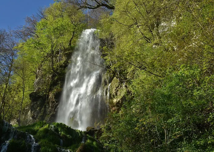 Апартаменты Casa Wiesenblick